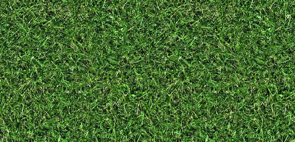 grass-5-seamless-turf-lawn-green-ground-field-texture - concord garden