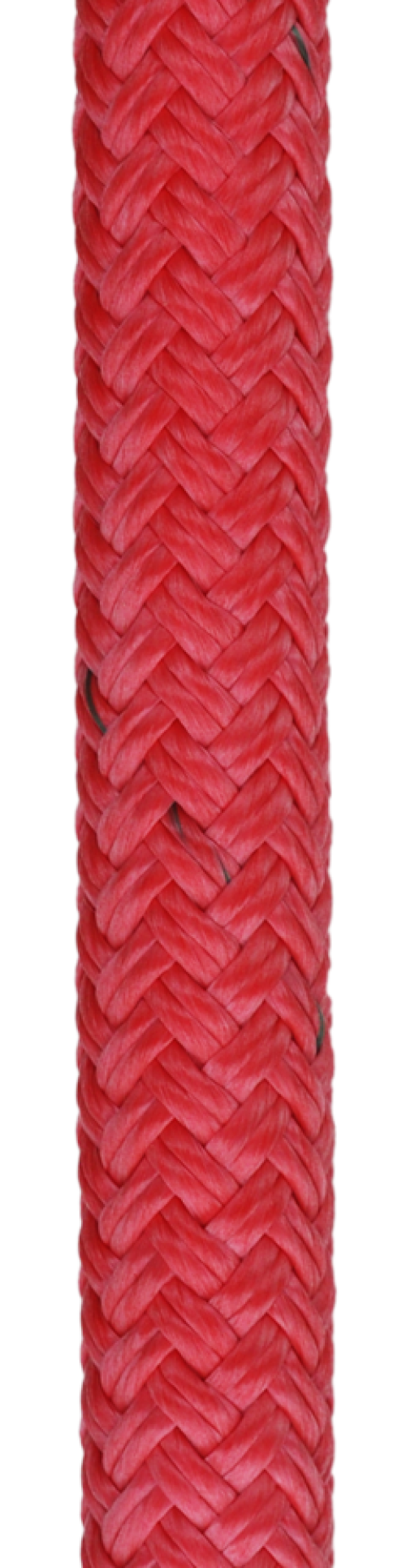 All Gear Husky Bull Rope™ 5/8
